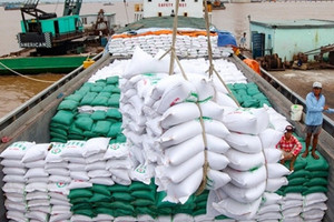 Tranh thủ biến động thị trường, gạo Việt Nam đang 'làm mưa làm gió' ở lục địa đen