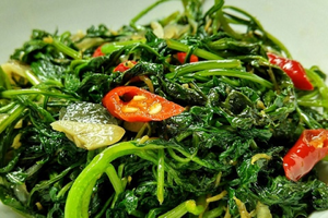 Từng mọc hoang chẳng ai để ý, loại rau tên cực lạ nay vào nhà hàng thành đặc sản, khách muốn ăn phải đặt trước