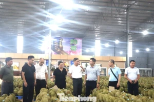 Doanh nghiệp Trung Quốc nói gì về chất lượng sầu riêng Việt Nam?