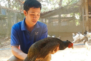 Anh nông dân Gia Lai bỏ phố về quê nuôi loài chim quý, bỏ túi 1 tỷ đồng/năm, được Chủ tịch nước tặng Huân chương Lao động hạng Ba