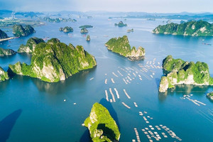Một lĩnh vực của Việt Nam đang ‘vượt mặt’ Thái Lan, vươn lên vị trí hàng đầu Đông Nam Á