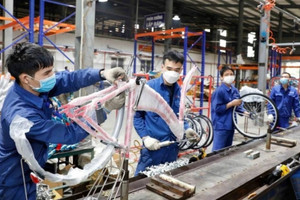 Tham tán thương mại Mỹ: Tăng trưởng xuất khẩu của Việt Nam sang Mỹ có thể tiếp tục được duy trì trong thời gian tới