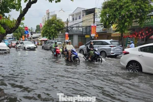 Biến đổi khí hậu gây thiệt hại hàng nghìn tỷ đồng cho người Cần Thơ