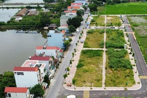 Bất động sản xã ngoại thành Hà Nội ‘bứt tốc’ sau 1 năm diễn ra phiên đấu giá 100 triệu đồng/m2
