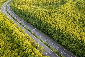 Công ty nhà THACO đề xuất làm tuyến đường xuyên rừng 22.600 tỷ đồng