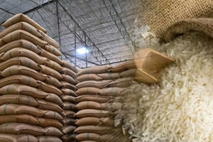 EVFTA mở rộng cửa châu Âu, nhưng doanh nghiệp Việt buộc phải chuẩn xanh