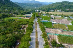 Dự án điện hạt nhân Ninh Thuận 2: Vì sao phải chọn nơi xây khu tái định cư mới?