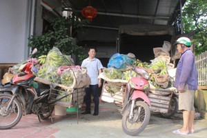 Hàng trăm gia đình tại một ngôi làng Thanh Hóa ăn nên làm ra nhờ buôn loại quả trồng khắp Việt Nam