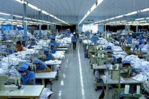 Công ty may Việt Nam kiện 'gã khổng lồ' Mỹ đòi 280 triệu USD, cổ đông đồng ý thưởng 20% cho ban lãnh đạo