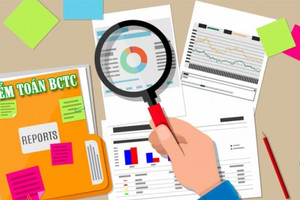 Đình chỉ tư cách hành nghề với 2 kiểm toán viên của An Việt CPA