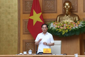 Chỉ đạo nóng của Phó Thủ tướng: Xử lý nghiêm nhà đầu tư điện chậm tiến độ, nguy cơ ảnh hưởng an ninh năng lượng