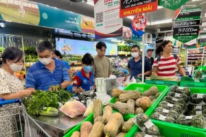 Áp thuế thu nhập cá nhân: Mức bao nhiêu là 'thấu hiểu' người dân?