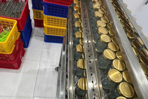 Phá đường dây dùng hoá chất tạo 'sợi yến' giống hệt hàng thật, đã đưa hàng chục nghìn hũ yến giả ra tiêu thụ khắp cả nước