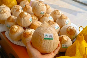 Dừa nội địa cháy hàng, Việt Nam nhập khẩu tăng 20 lần