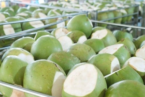 Loại quả đặc sản của Việt Nam giá tăng gấp 6 lần, xuất khẩu kỷ lục nhưng trong nước lại khát nguyên liệu