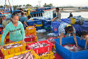 500 triệu USD hải sản Việt Nam nguy cơ bị cấm tại Mỹ, kế sinh nhai hàng trăm nghìn ngư dân chịu ảnh hưởng