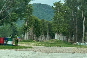 Bộ Công an khởi tố, bắt tạm giam 5 cán bộ lâm nghiệp