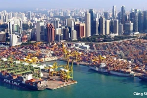 Khám phá những cảng nước sâu 'khủng' nhất thế giới