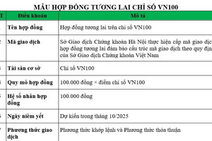 Hợp đồng tương lai VN100 sẵn sàng ra mắt tháng 10/2025