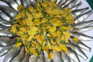 Loại 'cá thần' chỉ xuất hiện vào mùa nước nổi ở miền Tây, giá 300.000 đồng/kg vẫn khan hàng