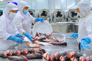 Lần đầu tiên, cá tra Việt xuất hiện trong chuỗi nhà hàng sushi Nhật Bản