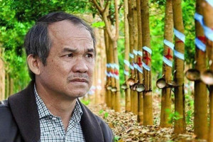Quê bầu Đức tính chuyện chặt hơn 14.000ha cao su để trồng cây ăn quả, hướng đi gợi nhớ hành trình 'gian truân' của HAGL