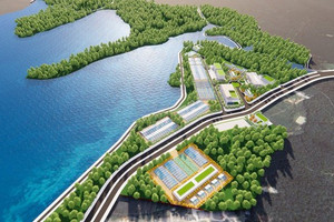 Việt Nam sắp có khu lâm nghiệp công nghệ cao đầu tiên, quy mô 600ha, tọa lạc tại khu vực Bắc Trung Bộ