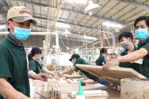 Doanh nghiệp 'khóc thét' khi kiểm tra thuế dài ngày