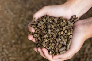 Ngành thức ăn chăn nuôi Việt tiết kiệm hàng chục USD mỗi tấn nhờ Trung Quốc áp thuế khủng lên một mặt hàng của Canada