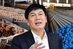 Nông nghiệp Hòa Phát chính thức nộp hồ sơ IPO, 'át chủ bài' tiếp theo của tỷ phú Trần Đình Long lộ diện