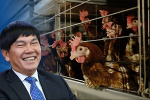 Tỷ phú Trần Đình Long 10 năm ươm mầm, Nông nghiệp Hòa Phát đã gây dựng được gì trước thềm IPO?