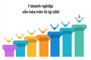 Bộ trưởng Bộ Tài chính: Việt Nam có 7 doanh nghiệp trên sàn vốn hóa trên 10 tỷ USD
