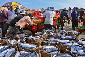 Việt Nam đề nghị Mỹ xem xét lại lệnh cấm xuất khẩu thủy sản