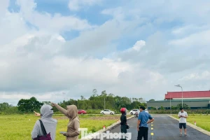Cảnh tượng ‘cò đất’ ùn ùn đổ về, ô tô đậu kín đường làng sau công bố quy hoạch