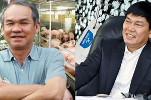 Bước chân vào nông nghiệp: Hòa Phát (HPG) biến nông trại thành 'mỏ vàng', bầu Đức vẫn khổ vì heo ăn chuối