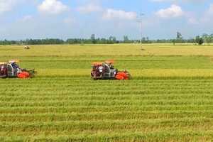 Tổng Bí thư: Luật Đất đai sửa đổi phải đảm bảo phương án xử lý căn cơ, đồng bộ