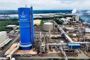 Đạm Phú Mỹ (DPM): 21 năm bền bỉ truyền thống sáng tạo, gắn kết và sẻ chia