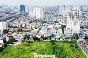 Kiến nghị giảm gánh nặng tài chính khi chuyển sang đất ở