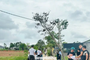 'Thổi giá', gom đất, phân lô bán nền tràn lan sau công bố quy hoạch