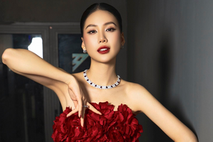Chính thức khởi tố vụ án ‘vu khống’ Hoa hậu Bùi Quỳnh Hoa