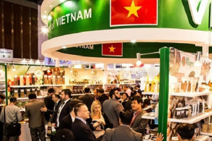 Hơn 40 doanh nghiệp Việt Nam sang Nga để tìm đối tác