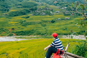 Lý do du lịch mùa thu đông năm nay 'hot' từ 'săn mùa vàng' miền núi phía Bắc đến Trung Quốc, Nhật Bản?