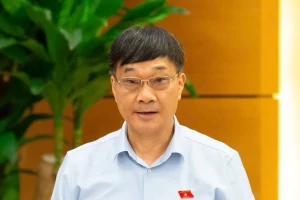 Phó Chủ tịch Quốc hội: 'Anh em rất sợ, từ thái cực này dễ chuyển sang thái cực kia...'