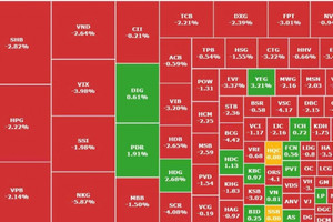 MBS Research: VN-Index khó thủng 1.600 điểm, NĐT nên tập trung vào cổ phiếu riêng lẻ thay vì tham chiếu chỉ số chung