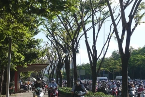 Sắp có làn riêng cho xe đạp ở TPHCM