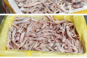 Phát hiện kho đông lạnh chứa đầy chân gà, xúc xích, nem chua không rõ nguồn gốc tại công ty Thực phẩm Việt Đức