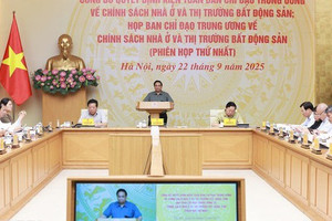 Thủ tướng Chính phủ: 'Nhà mà cứ trên 70 triệu, 100 triệu đồng/m2, ai có tiền mà mua'