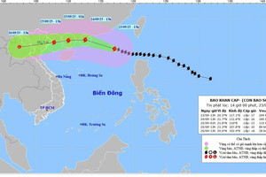 Bộ Y tế yêu cầu trực cấp cứu 24/24, sẵn sàng ứng phó siêu bão Ragasa
