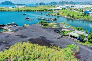 Thông tin về bàn giao đất cho dự án điện khí hơn 2,2 tỷ USD ở Quảng Ninh