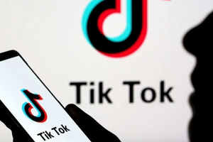 Tham gia bán hàng hưởng hoa hồng trên TikTok, ông Q. mất gần 1,2 tỷ đồng
